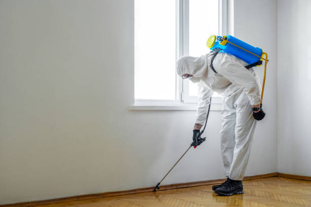 Best Residential Pest Control  in Steele, AL